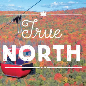 Typeface Highlight: True North